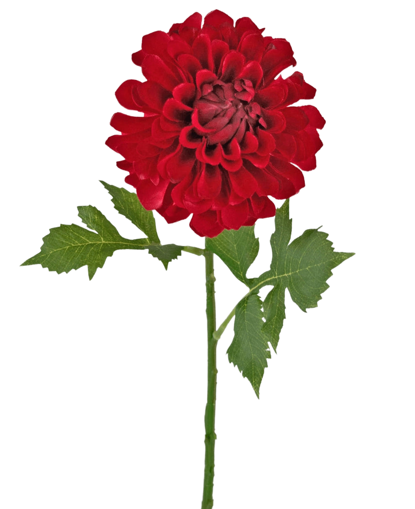 Flor artificial Dalia 50 cm roja: una sola dalia roja con múltiples capas de pétalos y hojas verdes sobre un tallo largo, aislada sobre un fondo blanco.