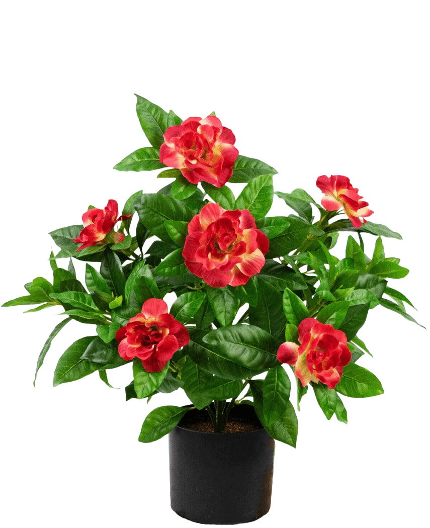 Planta artificial Gardenia 39 cm fucsia