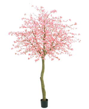 El árbol de cerezo rosa artificial de 330 cm tiene un tronco curvo de color marrón y abundantes flores de color rosa sobre un fondo blanco liso.