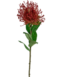 Ramo de flor artificial Protea 73 cm rojo