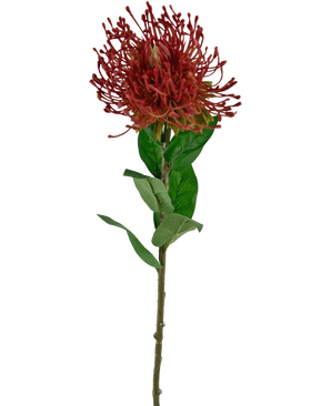 Een Kunstbloem Protea 73 cm rood met een enkele stengel met groene bladeren en een rood, stekelig, rond bloemhoofdje dat lijkt op een speldenkussen, geïsoleerd op een witte achtergrond.