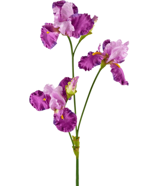 De Kunstbloem Iris 102 cm paars heeft een lange groene steel versierd met verschillende levendige paarse en witte irisbloemen, elk met ruches op de bloemblaadjes en gele accenten, tegen een effen witte achtergrond.