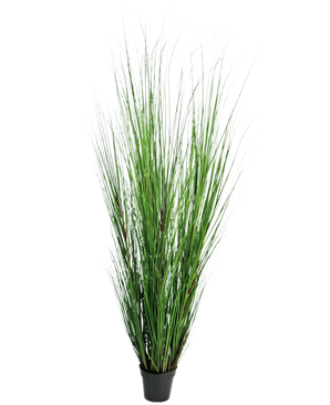 La planta de césped artificial Cebolla de 170 cm es una planta de césped artificial alta e ignífuga con hojas verdes largas y delgadas en una maceta negra compacta, representada sobre un fondo blanco liso.