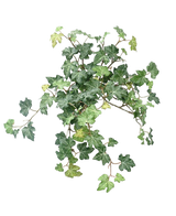 De Kunst Klimop Deluxe Groen 40cm heeft een cluster van levendige groene klimopbladeren met slingerende wijnranken tegen een effen witte achtergrond.