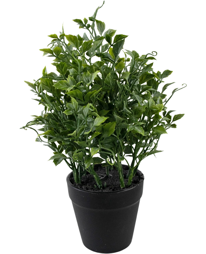 La planta artificial Uva de 25 cm es una planta artificial verde exuberante con hojas densas y puntiagudas en una maceta negra sobre un fondo blanco liso.