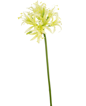 De Kunstbloem Nerine 70 cm groen heeft een lange groene steel met daarop een ronde tros tere, lichtgele en witte trompetvormige bloemen.