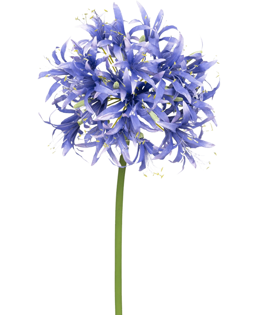 Una flor artificial Nerine de 70 cm de color violeta con muchas pequeñas flores violetas en forma de estrella en un racimo esférico sobre un largo tallo verde, sobre un fondo blanco liso.