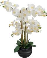 La Orquídea Artificial Real Touch 85 cm blanca tiene grandes flores de orquídeas blancas con un corazón amarillo y hojas verdes brillantes, bellamente dispuestas en una maceta de cerámica negra.