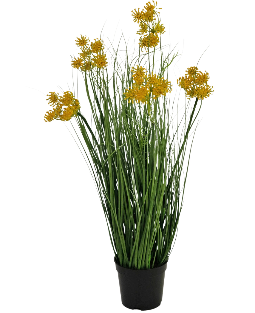 Un bonsái de hierba artificial de raíz de hierba, cebolla, 60 cm de altura e ignífugo, con finas hojas verdes y racimos de flores amarillas en tallos largos, sobre un fondo blanco liso.