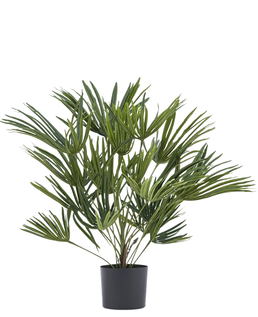 La planta artificial Baby Palm Fan en maceta UV 50 cm tiene hojas verdes largas y delgadas en una elegante maceta, ideal para añadir un toque elegante a su interior o para combinar con macetas decorativas para darle un toque extra.