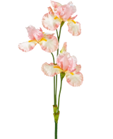 Una flor de iris artificial de 102 cm de color rosa claro tiene varios volantes delicados de color rosa claro y blanco con detalles en amarillo sobre un fondo blanco liso.