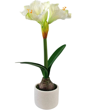 La Flor Artificial Amarilis Real Touch blanca 48 cm tiene una flor realista de amarilis blanca con hojas verdes y bulbo visible en una pequeña maceta blanca, perfecta para añadir elegancia a cualquier estancia.