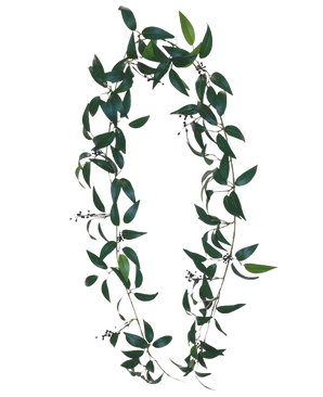 La Guirnalda Artificial Smilax 180cm es una corona en forma de letra O, hecha de largas ramas de hojas verdes con pequeños racimos de bayas oscuras sobre un fondo blanco liso.