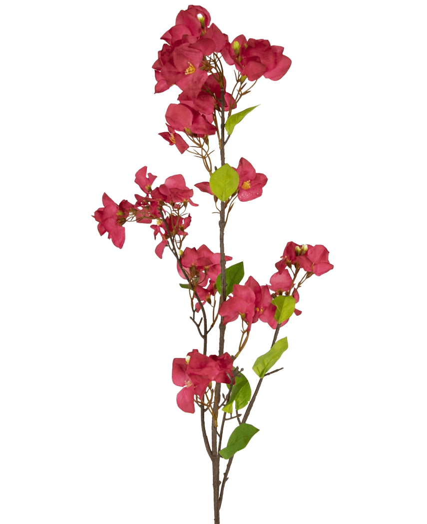 La flor artificial buganvilla 120 cm burdeos tiene un solo tallo con varias flores artificiales de color burdeos intenso y hojas verdes sobre esbeltas ramas marrones, sobre un fondo blanco liso.