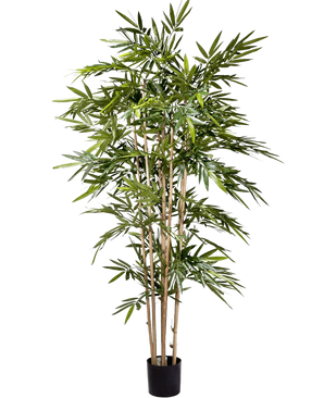 De Kunstplant Bamboe 180 cm is een hoge kunstbamboe met slanke groene bladeren en meerdere lichtbruine stengels, geplaatst in een kleine zwarte pot.
